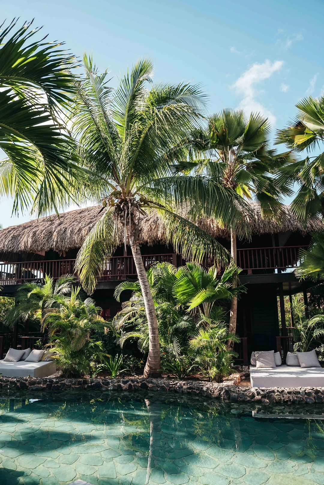Tropical Superior Room