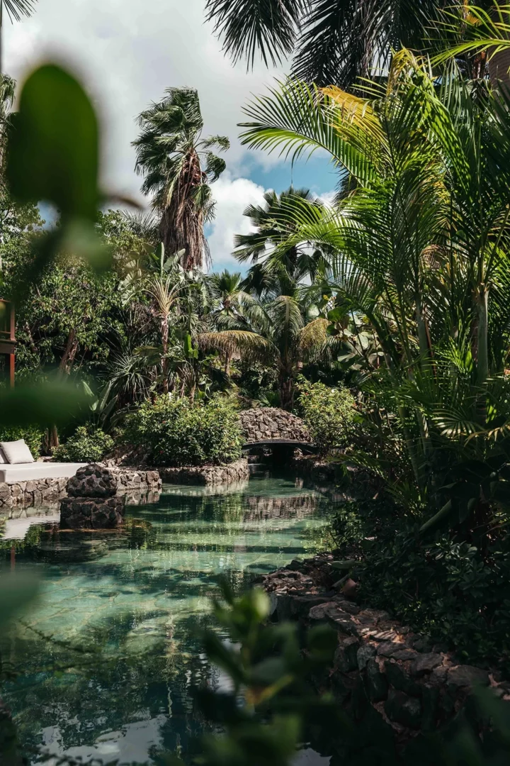 Tropical Superior Room