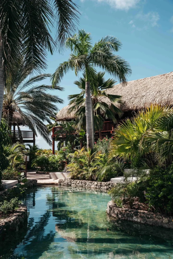 Tropical Superior Room