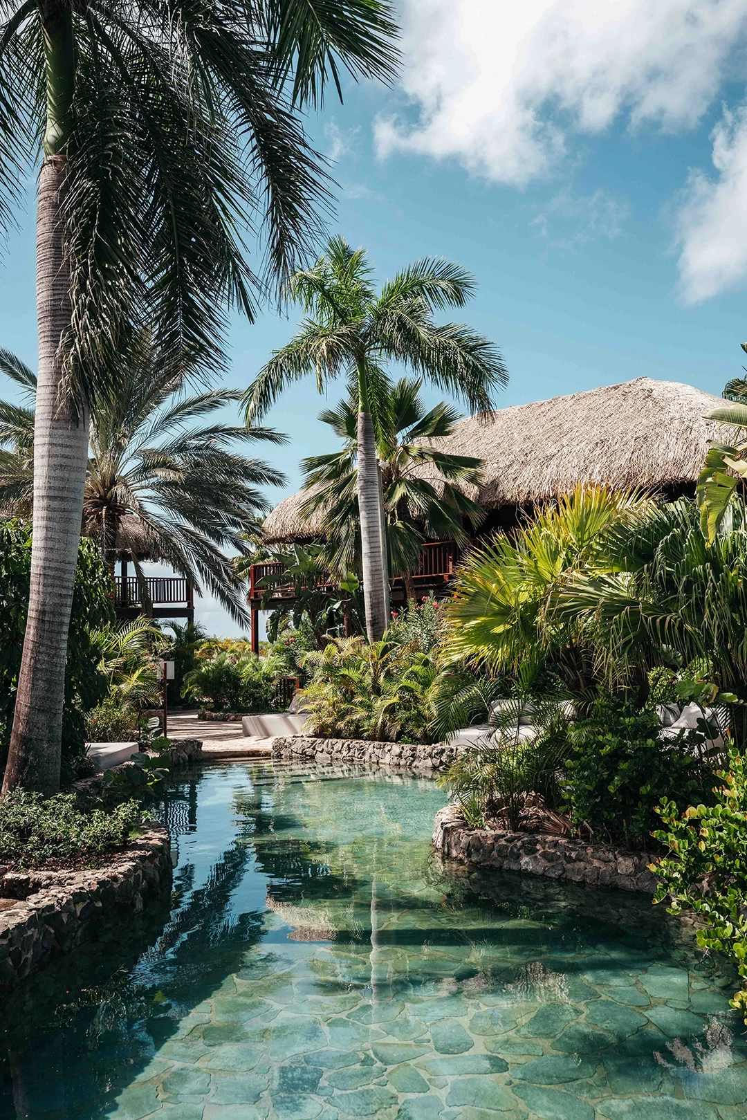 Tropical Superior Room