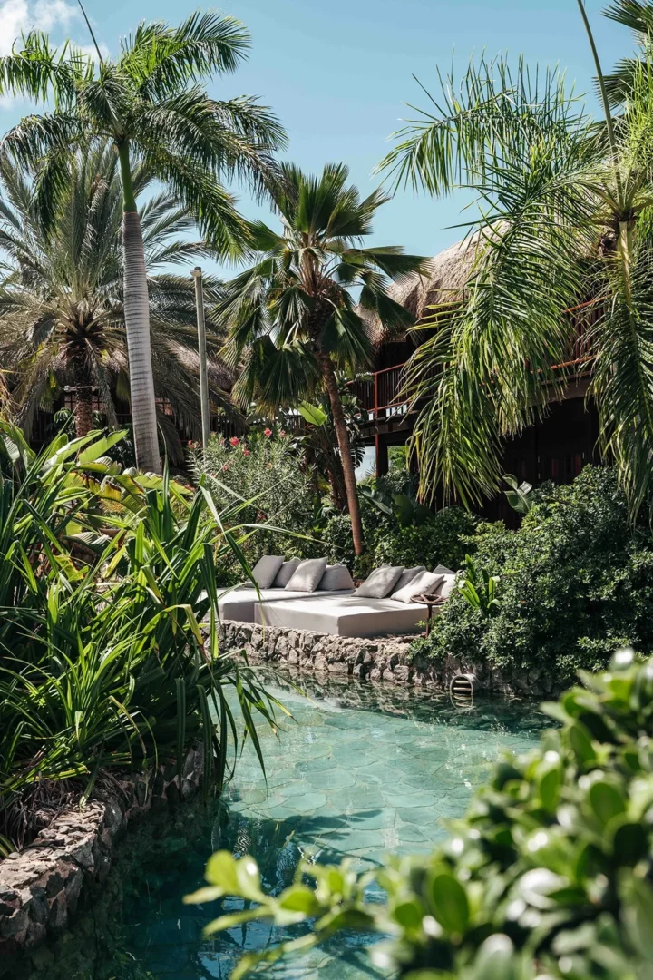 Tropical Superior Room